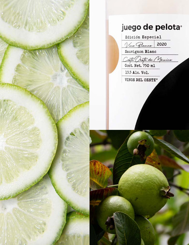 12 Botellas De Vino Blanco Juego De Pelota Edición Especial