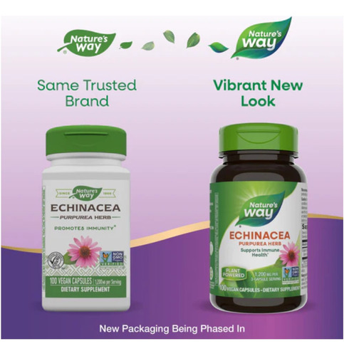 Echinacea Purpurea 1.200 Mg Dose 180 Caps - Nature's Way Eua