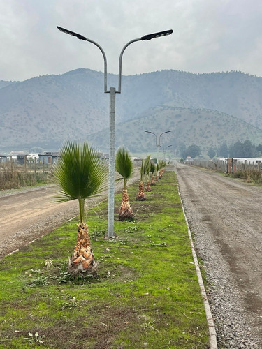 Parcela Amplia Con Acceso Controlado