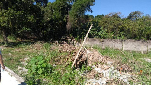Imagem 7 de 14 de Terreno À Venda, 6000 M² Por R$ 4.000.000 - Taquara. - Te0025