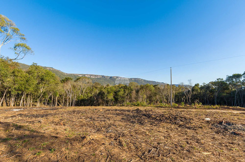 Imagem 28 de 30 de Chácara - Residencial - 936672