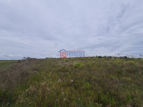 Vende Chacra De 5,6 Hectáreas - 50 Km. De Montevideo