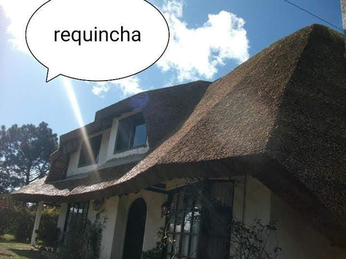 Imagen 2 de 5 de Quinchos Del Este..quinchos,enmaderados,deck,construcción