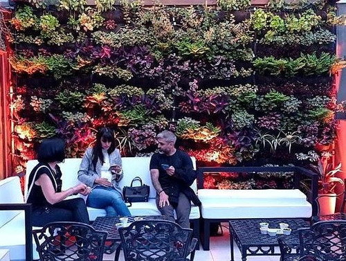 Imagen 4 de 6 de Jardin Vertical Reforzado Tela Geotextil 1m X 1m Happy Roots