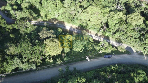 Imagem 4 de 11 de Terreno No Bairro Zimbros Em Bombinhas Sc - 4646