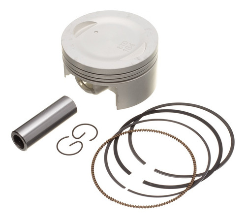 Imagem 1 de 1 de Pistao Kit C/anel Rik Premium Fazer 250 Std