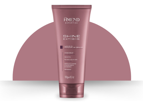 Amend Kit Shampoo E Leave-in Shine Extreme Doador De Brilho