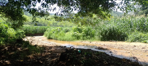 Oportunidad De Inversión En Chiapas: Rancho De 10 Hectáreas Con Documentación Al Día Y Plusvalía En Crecimiento