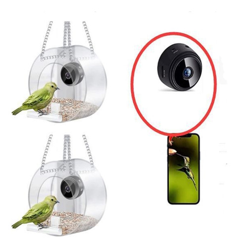 Alimentador De Aves Para Exteriores Con Cámara Wifi