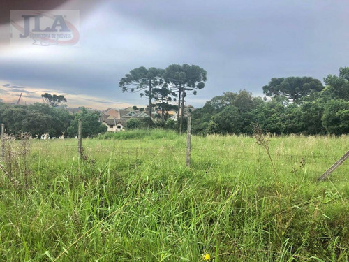 Imagem 3 de 4 de Área Zr-2 Com 18.470 M² Por R$ 14.900.000 - Uberaba - Curitiba/pr - Ar0028