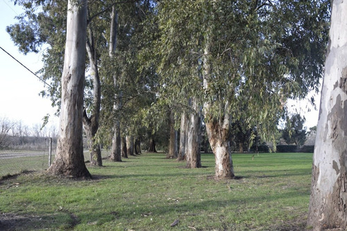 Imagen 4 de 9 de Excelente Chacra En Manzanares - Pilar