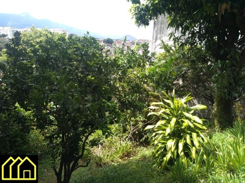 Imagem 4 de 14 de Terreno 525m² Em Jacarepaguá - Ci1962