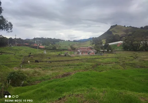 Lotes De 1.600 Metros Cuadrados