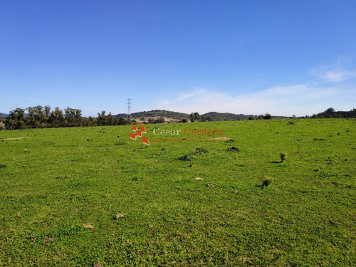 Venta - Chacra De 10 Has En Zona De Paraje De Los Ceibos- Ref: 1418