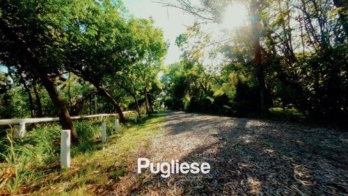 Terreno En Venta En Moreno