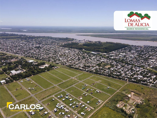 Imagen 1 de 9 de Terrenos En Venta En Barrio Lomas De Alicia