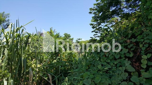 Imagem 5 de 14 de Terreno - Ref: 3477
