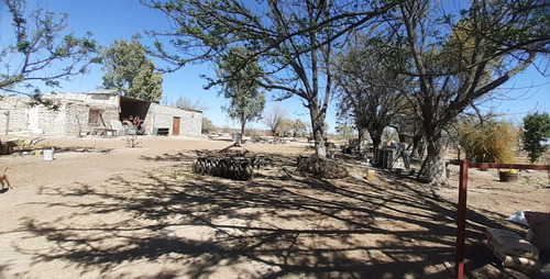Terreno Con Nogales En Venta En San Pedro De Las Colonias, Coahuila