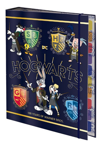 Fichário Universitário Harry Potter Warner 100 Anos