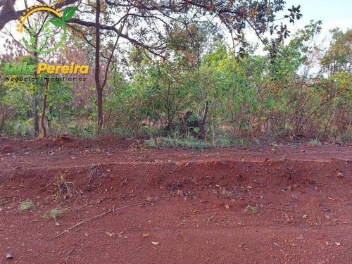 Imagem 7 de 12 de Fazenda À Venda Em Abreulândia - 696,96 Hectares (dupla Aptidão) - 2023