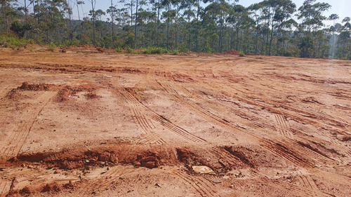 Imagem 17 de 25 de 01- Terrenos Em Condomínio Na Divisa De Suzano E Mogi Das Cruzes Com Procedência !