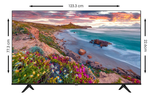 Televisor Hisense 55 4k Led Vidaa Dolby Atmos 55a7gv (Usado)