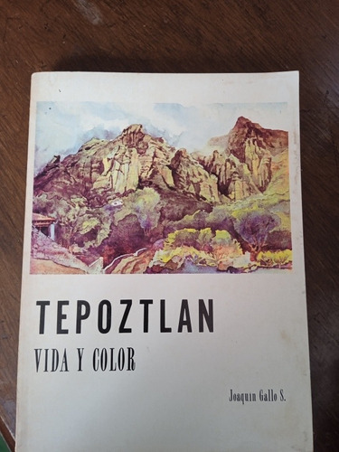 Tepoztlán Vida Y Color Joaquín Gallo Sarlat 