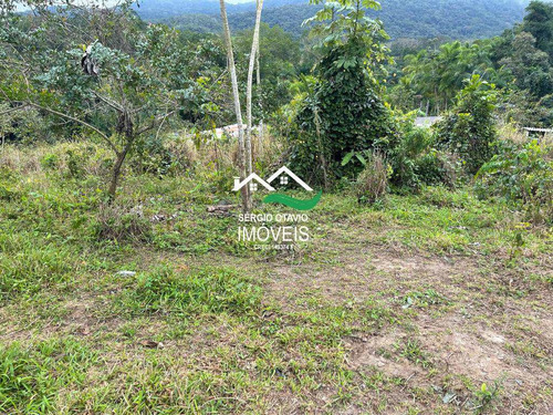 Imagem 4 de 4 de Chácara, Area Rural, Pedro De Toledo - R$ 50 Mil, Cod: 570 - V570