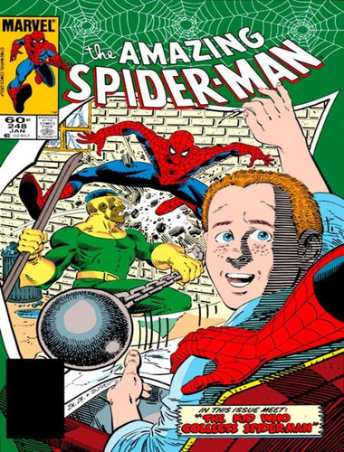 A Saga Do Homem-aranha 21, De Mantlo, Bill. Editorial Panini, Capa Mole, Edição 21 Em Português, 2024