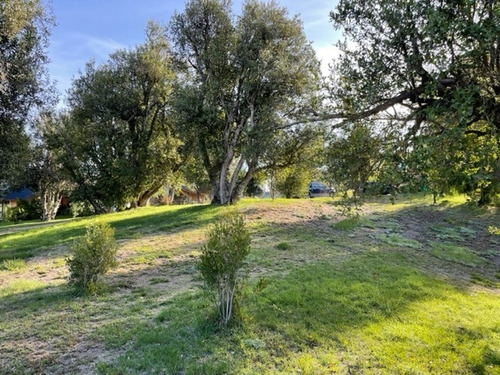 Imagen 6 de 7 de Lote De 2500 M2 En Venta En San Martin De Los Andes
