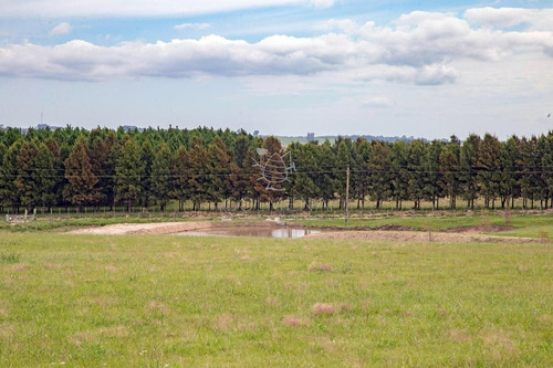 Imagen 13 de 30 de Campo En Jose Ignacio Muy Cerca De La Laguna - Jose Ignacio
