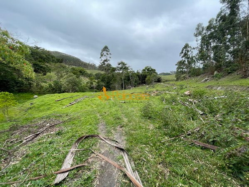 Imagem 4 de 16 de Rural Comercial - 366000-v