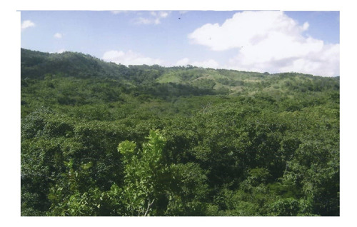 Imagen 5 de 14 de Se Vende Finca Agropecuaria - Cerca San Juan De Los Morros