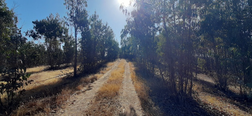 Hasta 9 Terrenos De 1ha A 42ha Total Aprox: 130ha La Rudilla