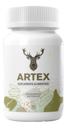 Suplemento Artex Para Dolor Articular 20 Caps Sfn 