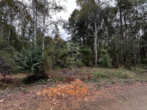 Parcela En Fresia Con Acceso Al Rio Llico