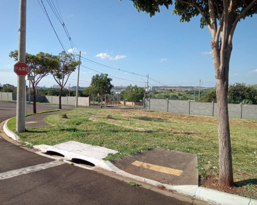 Imagem 4 de 13 de Terreno - Te00270 - 69512010