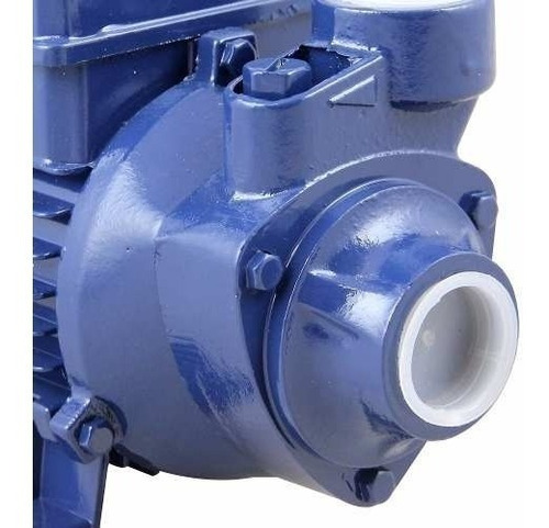 Moto Bomba Periferica 1,0 Cv Eletroplas Mono 110/220v Latão