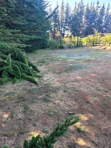 Lindo Terreno Ubicado En Pasaje Terramar Mirasol Algarrobo