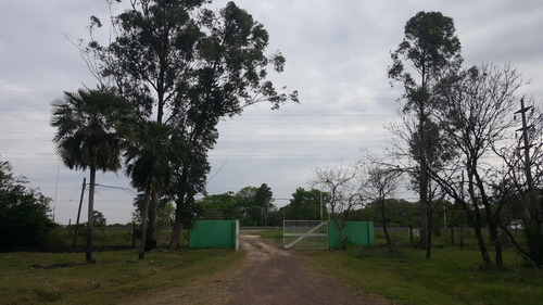 Imagen 15 de 16 de Terrenos Con Acceso Sobre Autovía, Puerto Tirol
