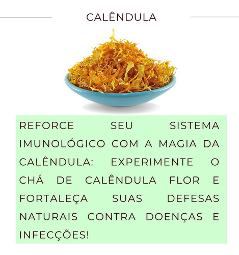 êndu há endu Officin is Leve 3, Pgue 2