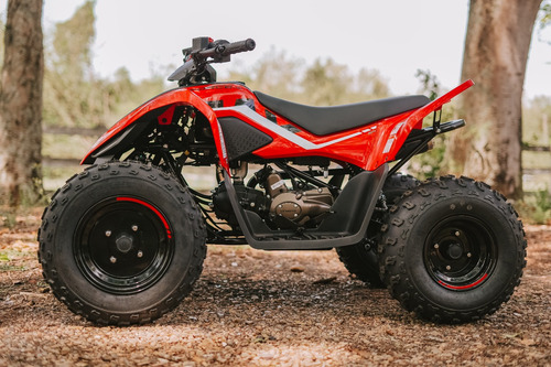 Quadriciclo Infantil Cforce 110lv