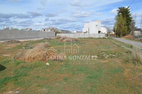 Imagen 3 de 16 de Venta Terreno 996m2 Apto Desarrollo Confluencia Rural Neuquén