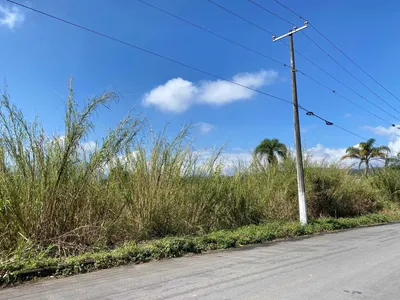 Terreno en renta
