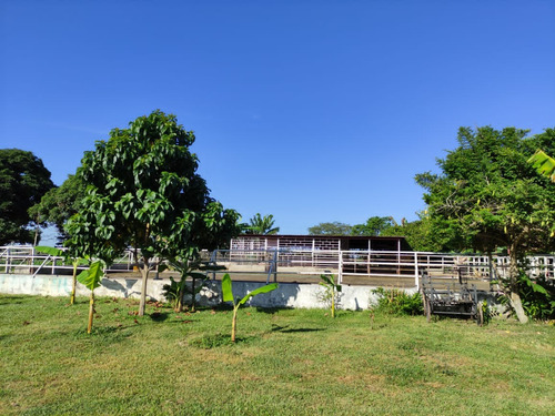 Estado Barinas Se Vende Finca Ganadera Yep11