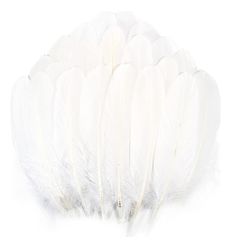 Plumas Ganso Pavo Decorativa Naturales Con 50 Plumas 15-20cm Color Blanco