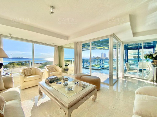 Imagen 1 de 24 de Beverly Tower Punta Del Este
