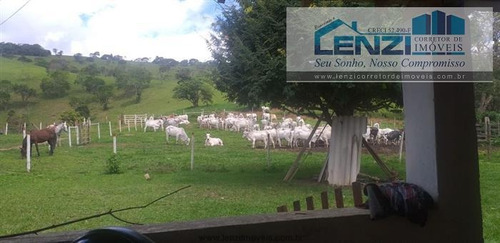 Imagem 27 de 29 de Fazendas À Venda Em Rio Do Prado/mg - Compre O Seu Fazendas Aqui! - 1477933