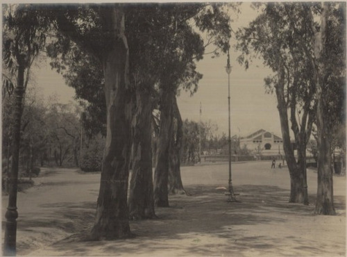 Puente Del Prado En 1910 Montevideo Antiguo - Lámina 45x30cm