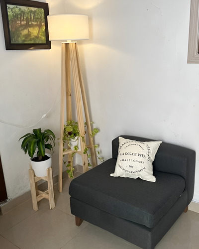 Almohadon Tusor Y Lienzo Estampado 40x40 Funda Y Relleno Blanco Estampado Varios